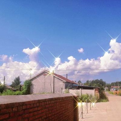 王者纷争折扣版下载
